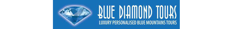 Blue Diamond Tours - Luxury Mercedes Benz Max 14 People! (TUES-SUN)