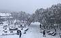 Mt Buller Snow Day Small Groups Tour